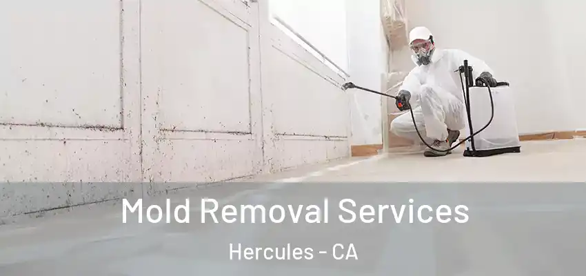 Mold Removal Services Hercules - CA