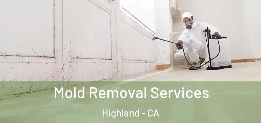  Mold Removal Services Highland - CA