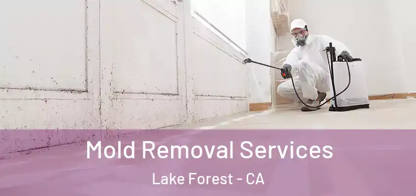 Mold Removal Services Lake Forest - CA