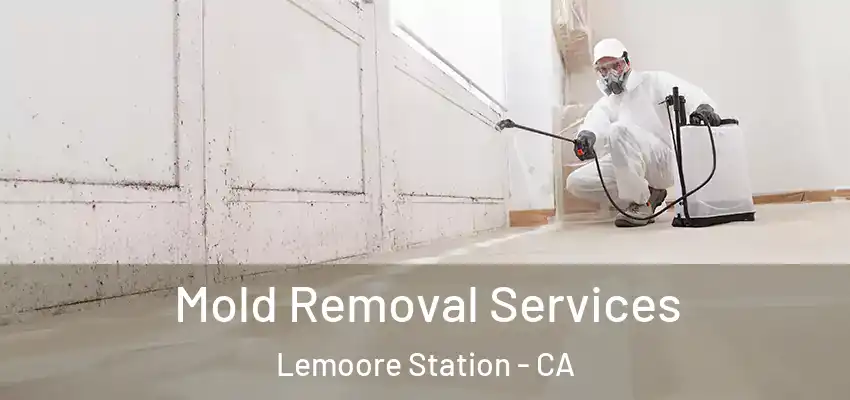 Mold Removal Services Lemoore Station - CA