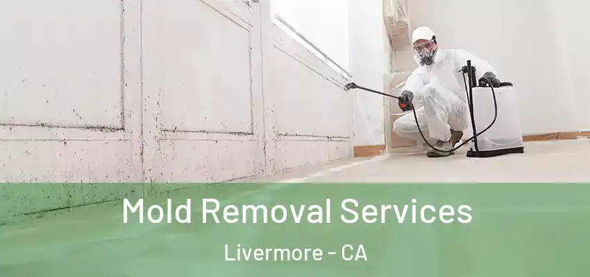  Mold Removal Services Livermore - CA