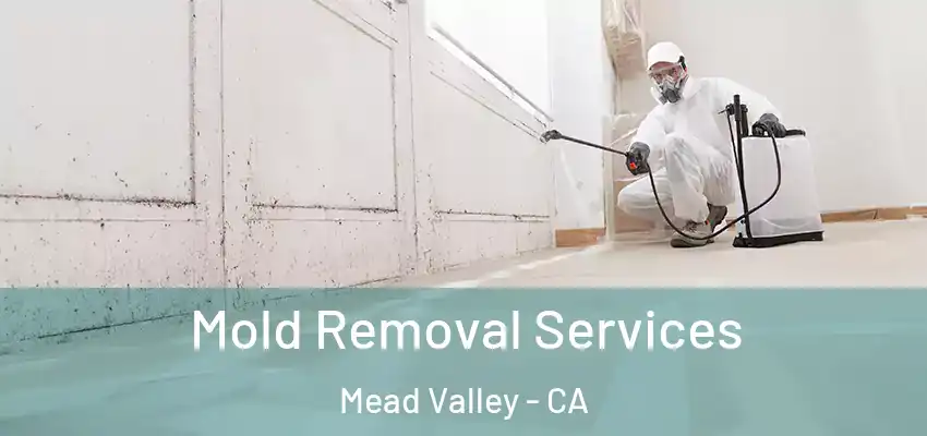  Mold Removal Services Mead Valley - CA