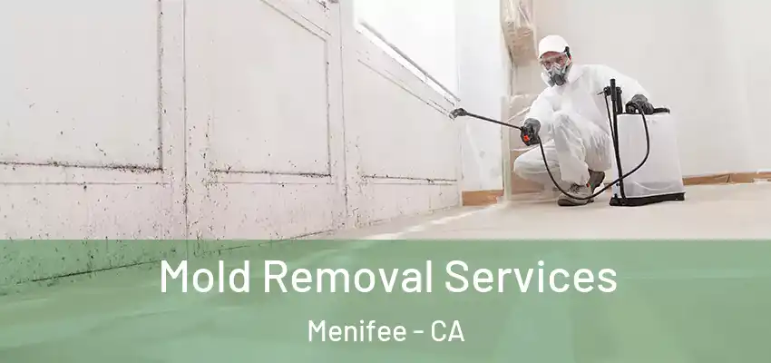 Mold Removal Services Menifee - CA