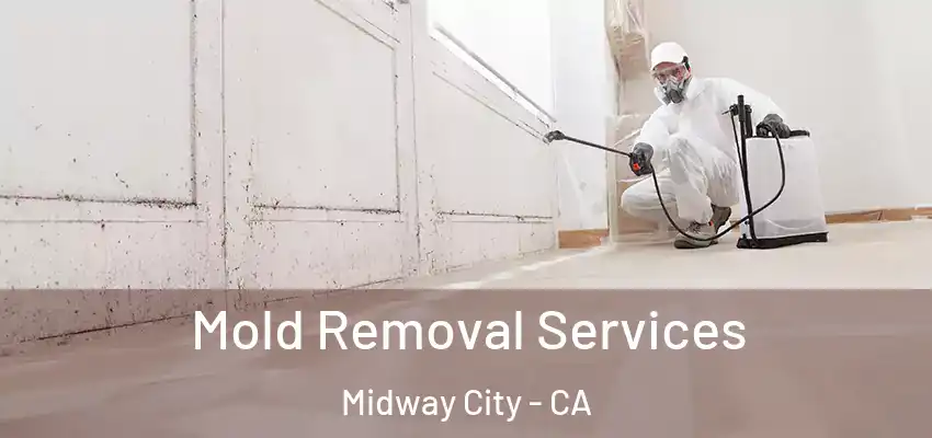  Mold Removal Services Midway City - CA