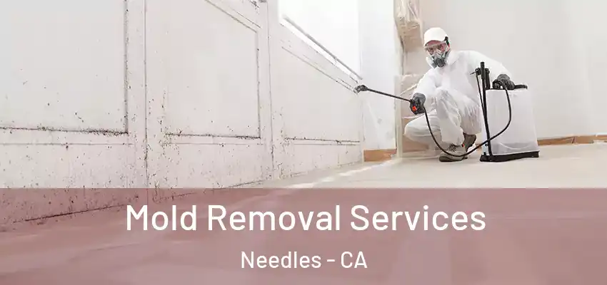  Mold Removal Services Needles - CA