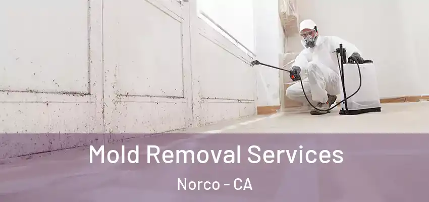  Mold Removal Services Norco - CA