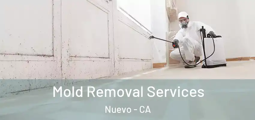  Mold Removal Services Nuevo - CA