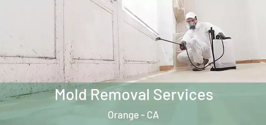  Mold Removal Services Orange - CA
