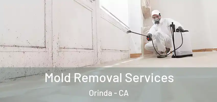 Mold Removal Services Orinda - CA
