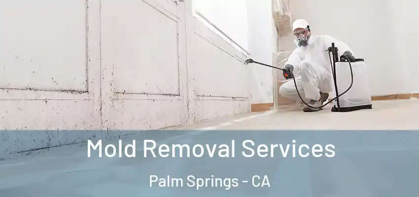  Mold Removal Services Palm Springs - CA