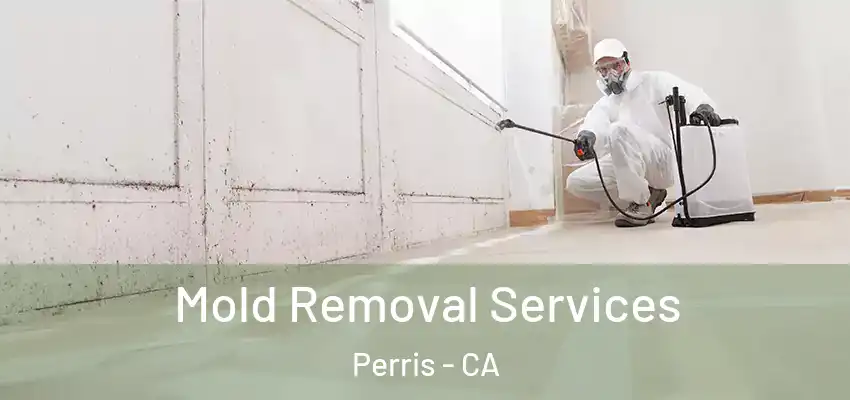  Mold Removal Services Perris - CA