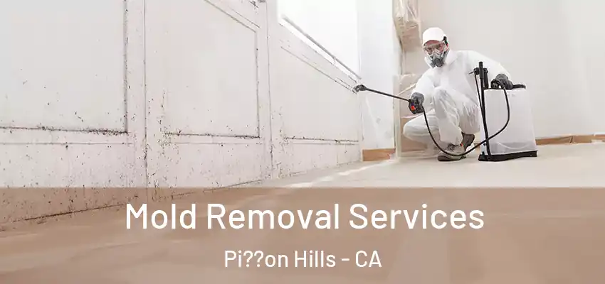  Mold Removal Services Pi??on Hills - CA