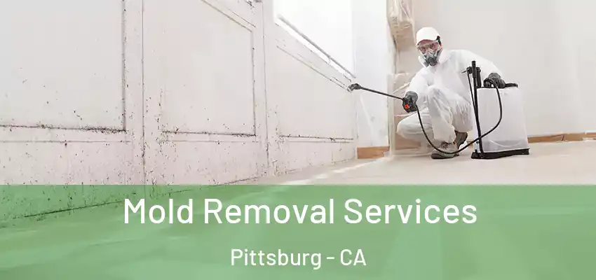  Mold Removal Services Pittsburg - CA