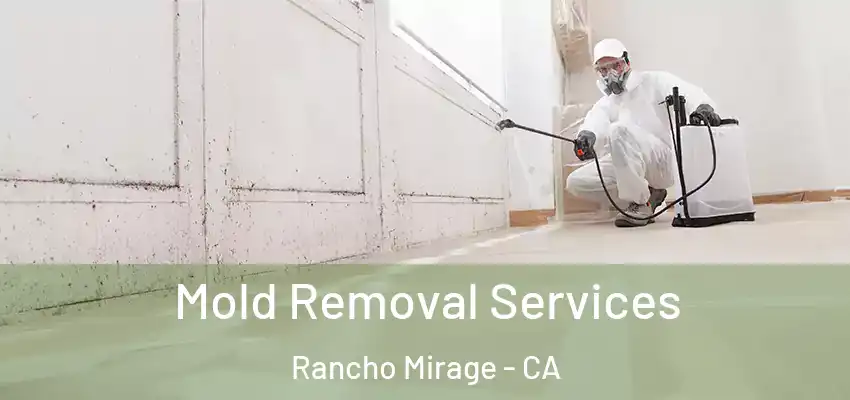  Mold Removal Services Rancho Mirage - CA