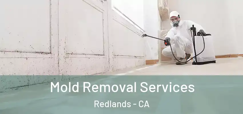  Mold Removal Services Redlands - CA