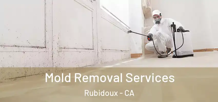  Mold Removal Services Rubidoux - CA