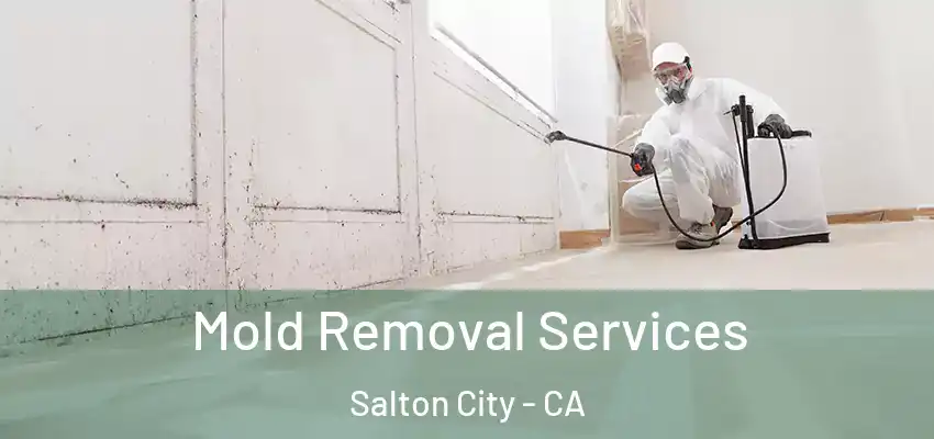  Mold Removal Services Salton City - CA