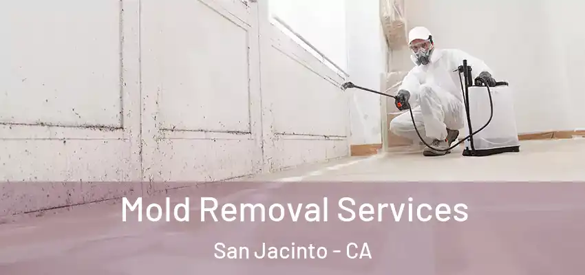  Mold Removal Services San Jacinto - CA