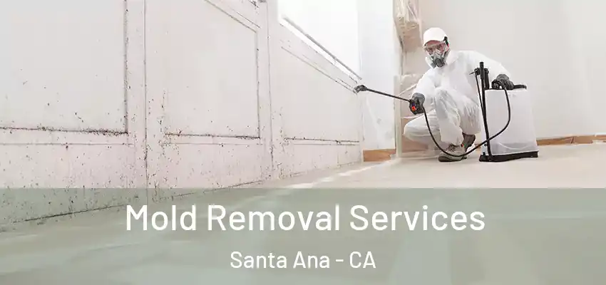  Mold Removal Services Santa Ana - CA