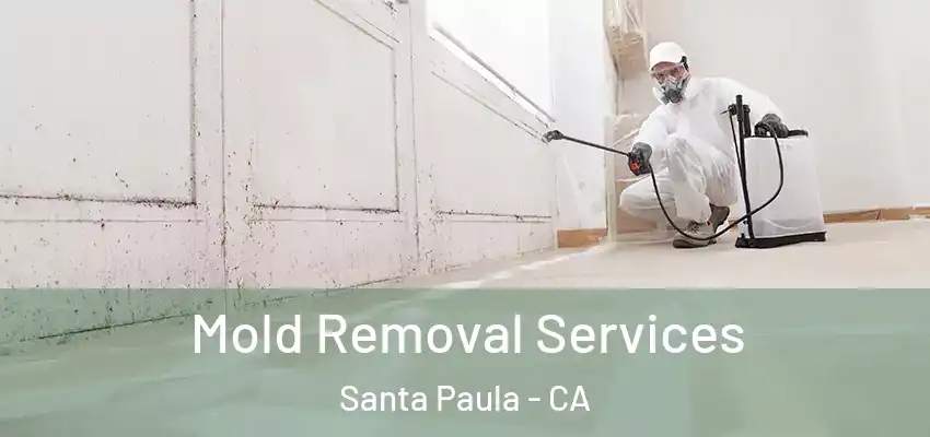  Mold Removal Services Santa Paula - CA