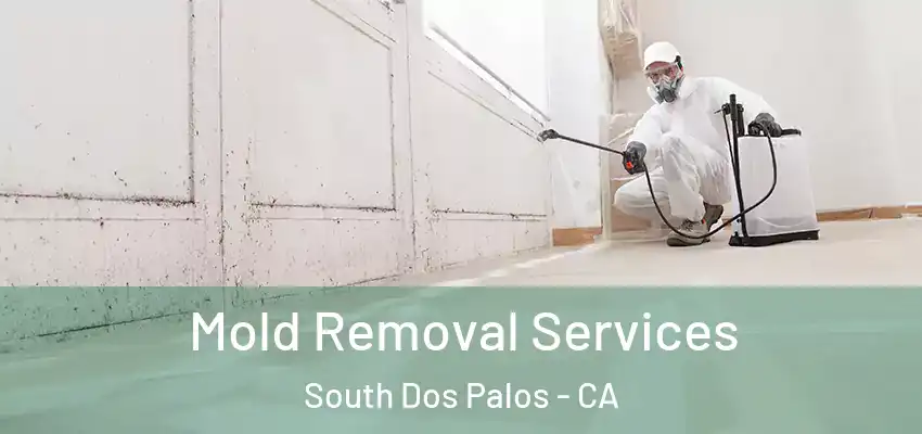  Mold Removal Services South Dos Palos - CA