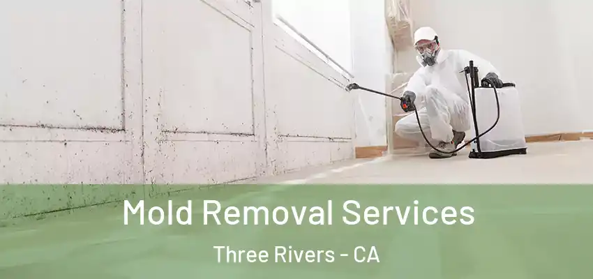  Mold Removal Services Three Rivers - CA