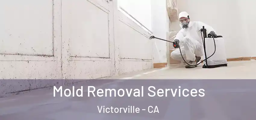  Mold Removal Services Victorville - CA