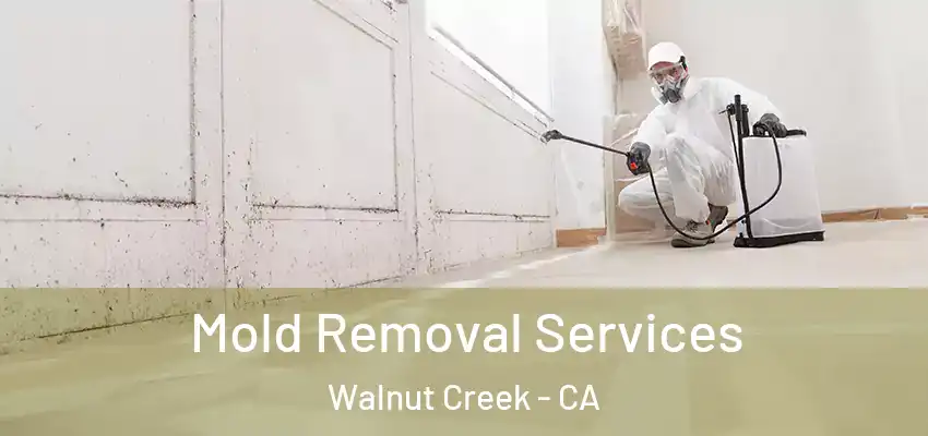 Mold Removal Services Walnut Creek - CA