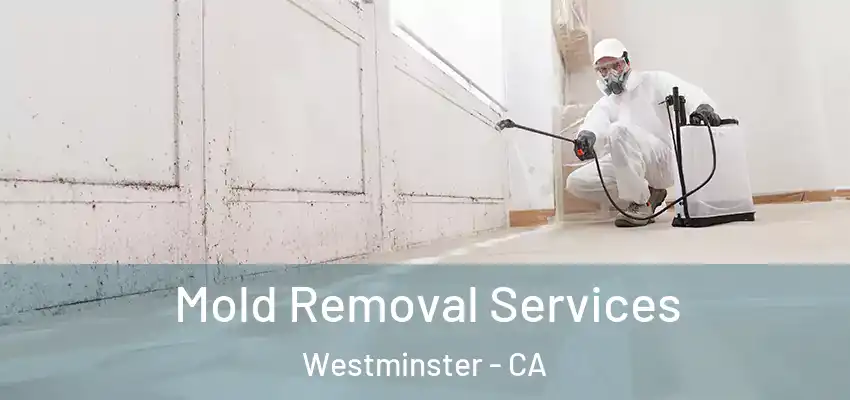  Mold Removal Services Westminster - CA