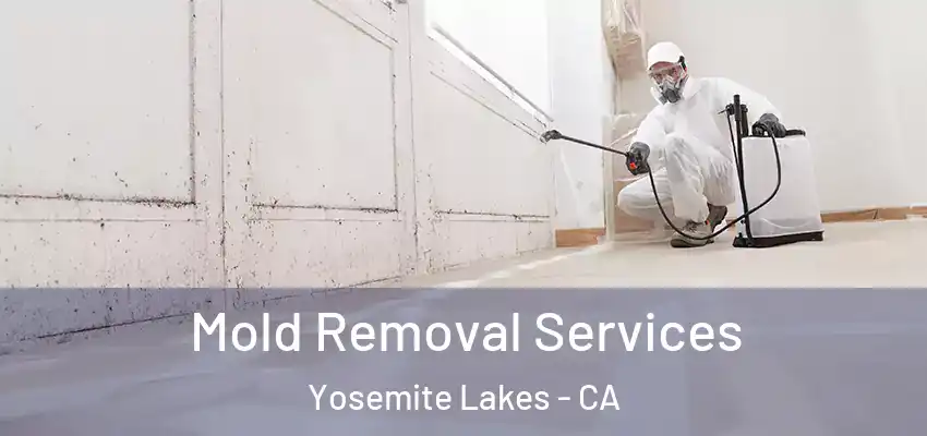  Mold Removal Services Yosemite Lakes - CA