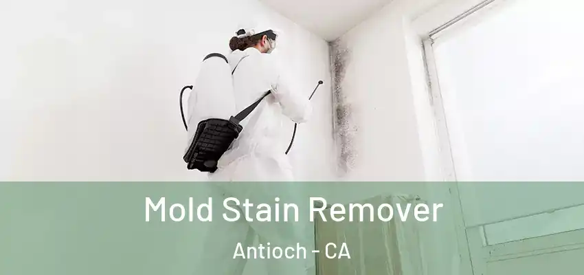  Mold Stain Remover Antioch - CA