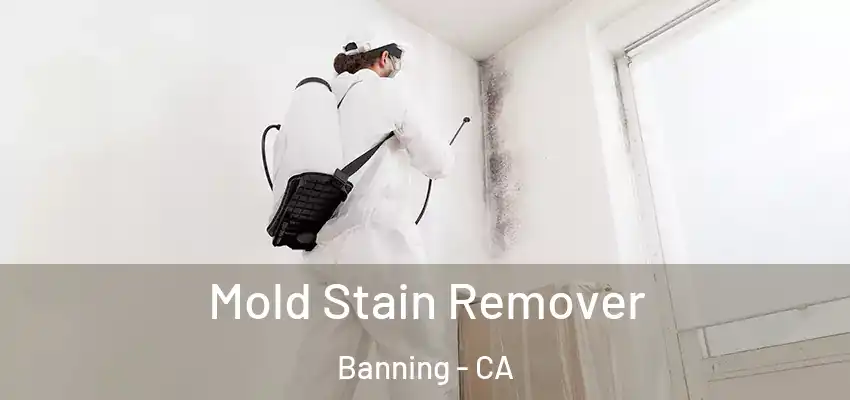  Mold Stain Remover Banning - CA
