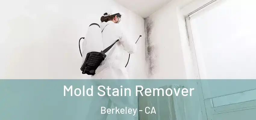Mold Stain Remover Berkeley - CA