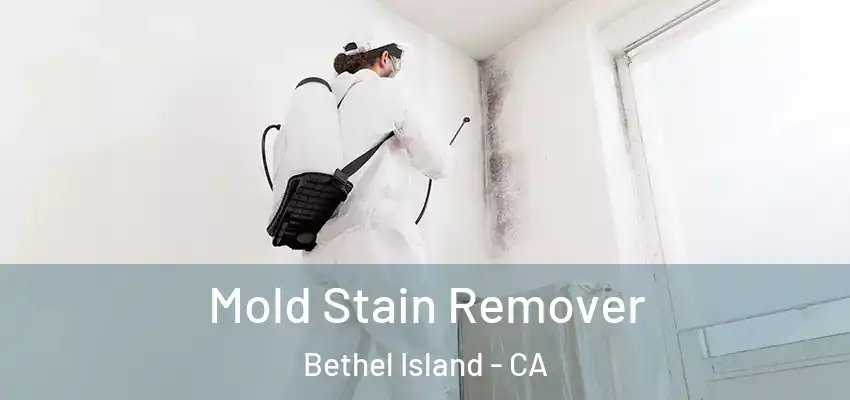  Mold Stain Remover Bethel Island - CA