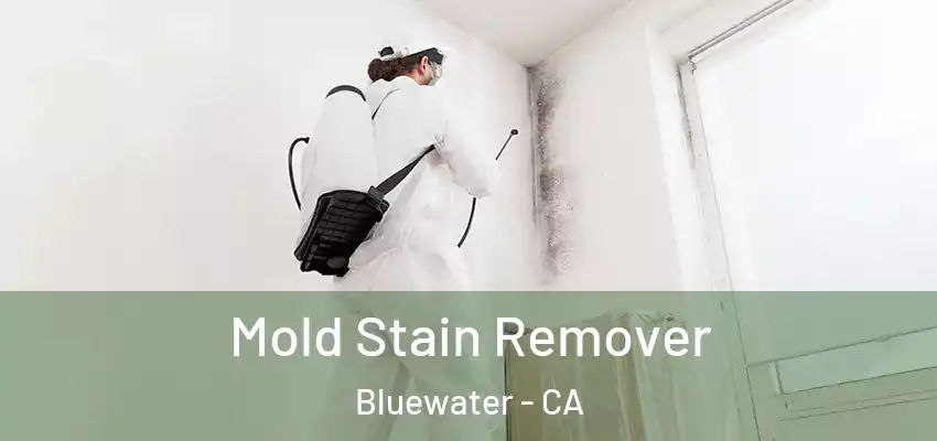  Mold Stain Remover Bluewater - CA