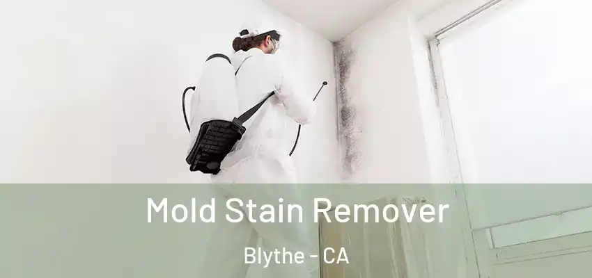  Mold Stain Remover Blythe - CA