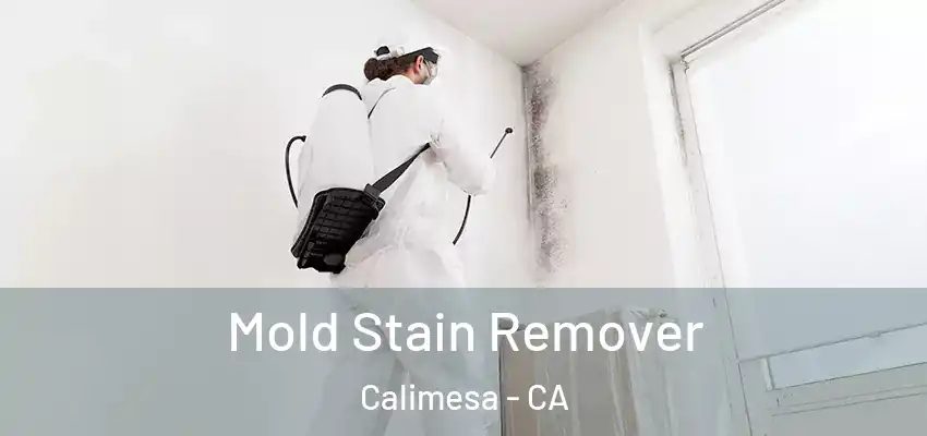  Mold Stain Remover Calimesa - CA