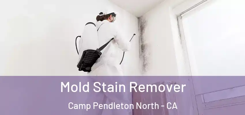  Mold Stain Remover Camp Pendleton North - CA