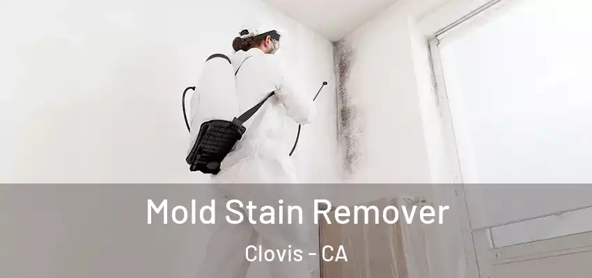 Mold Stain Remover Clovis - CA