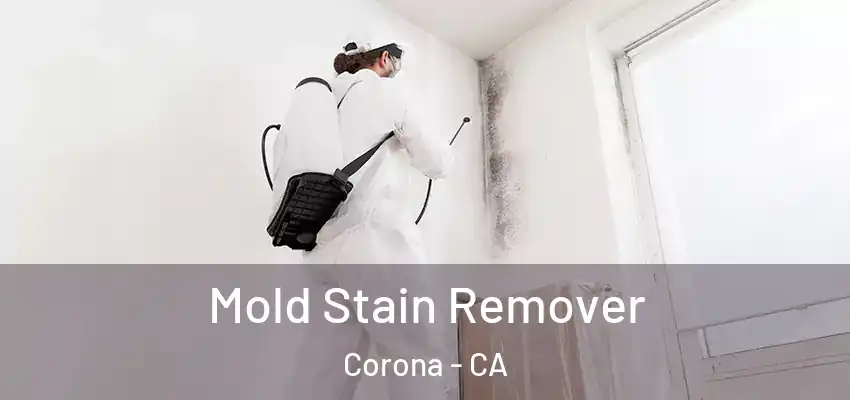  Mold Stain Remover Corona - CA
