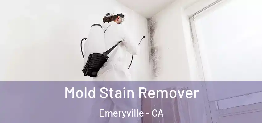  Mold Stain Remover Emeryville - CA