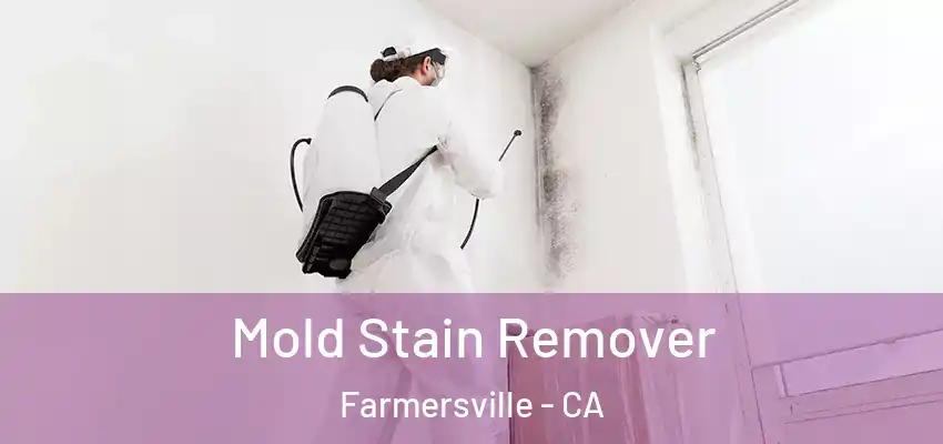  Mold Stain Remover Farmersville - CA