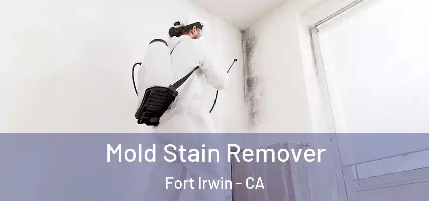  Mold Stain Remover Fort Irwin - CA