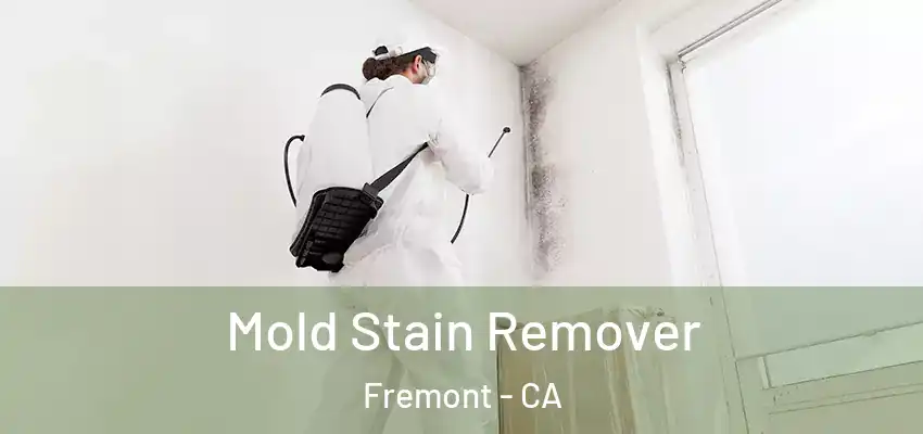  Mold Stain Remover Fremont - CA