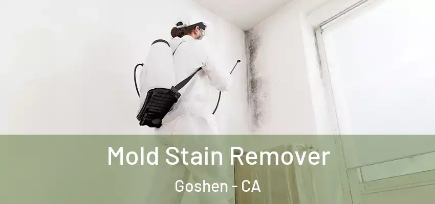  Mold Stain Remover Goshen - CA