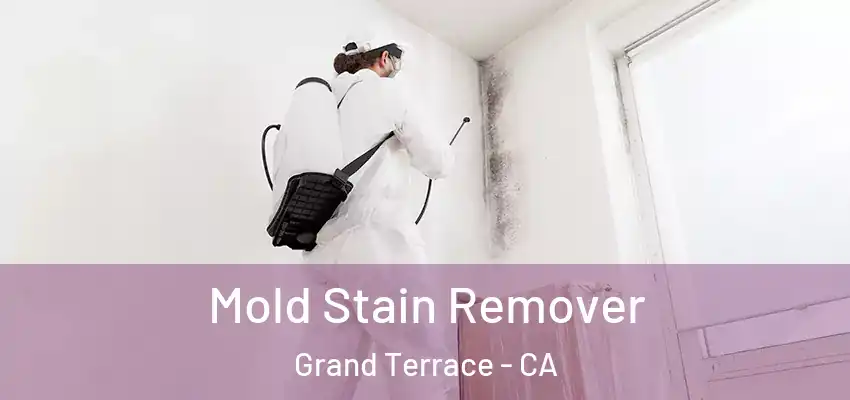  Mold Stain Remover Grand Terrace - CA