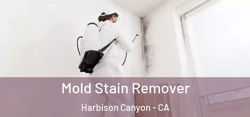  Mold Stain Remover Harbison Canyon - CA