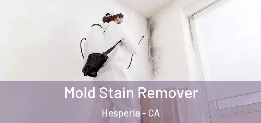  Mold Stain Remover Hesperia - CA