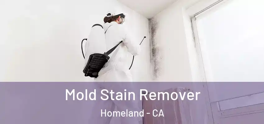  Mold Stain Remover Homeland - CA