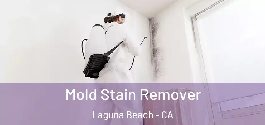  Mold Stain Remover Laguna Beach - CA